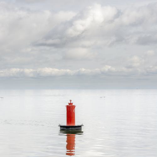 Leben am Wasser