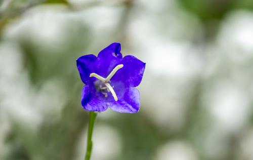 DSC 9979