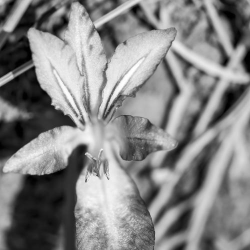 Kunterbunt und doch monochrom