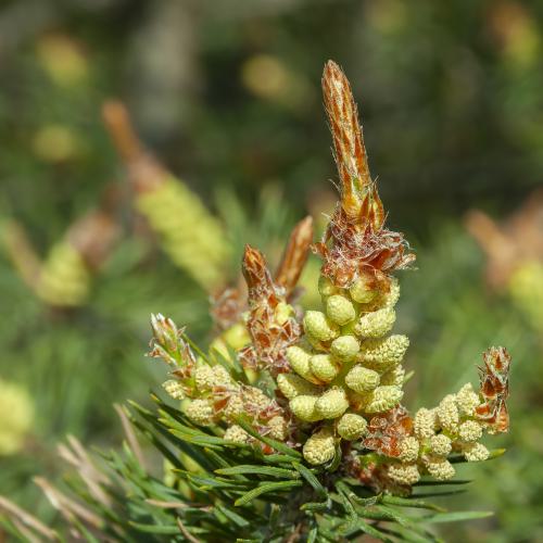 28Apr2010 5873-NEF DxO DeepPRIMEXD