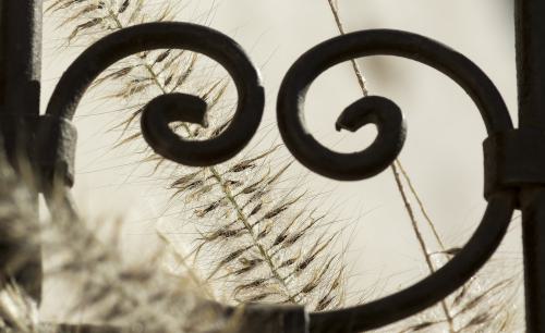 DSC6895-NEF DxO DeepPRIMEXD-2