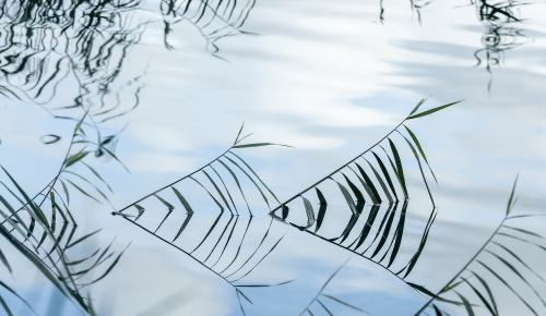 DSC7210-NEF DxO DeepPRIMEXD