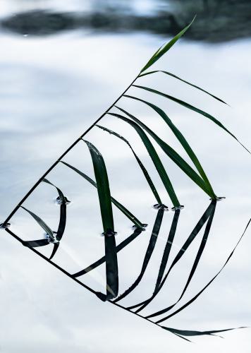 DSC7221-NEF DxO DeepPRIMEXD