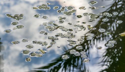 DSC8193-NEF DxO DeepPRIMEXD