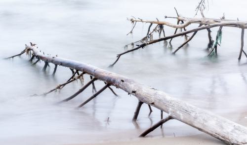 DSC 8979-NEF DxO DeepPRIMEXD