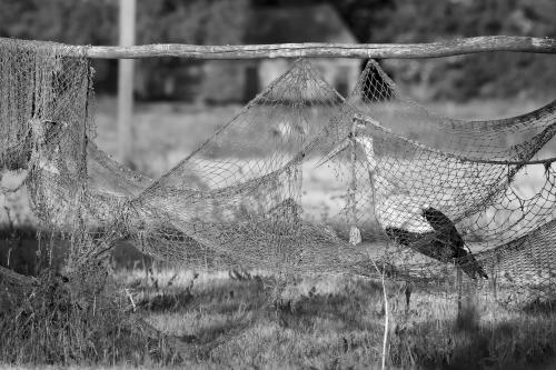 DSC 9501-NEF DxO DeepPRIMEXD