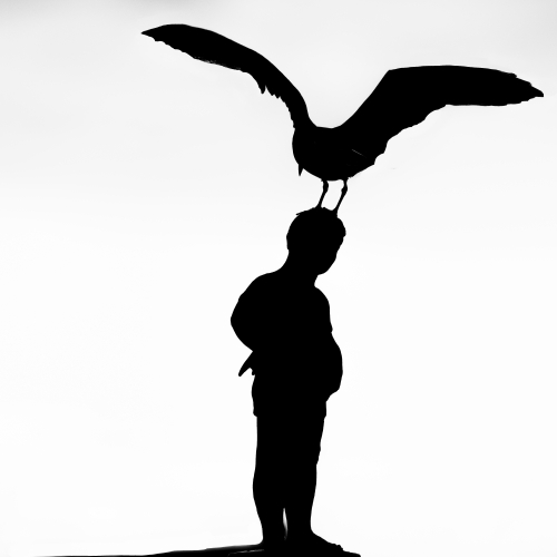 Ungewöhnliches monochrom-2